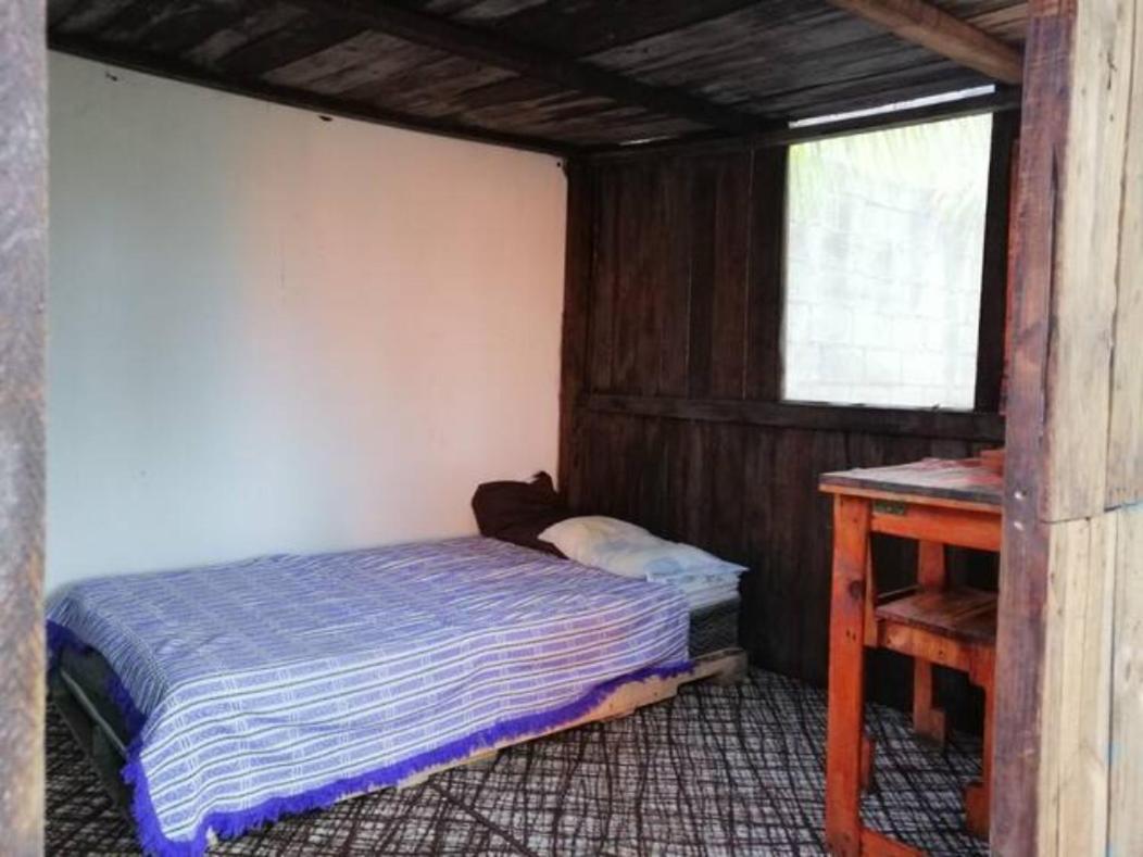 Sustainable Cabain Apartment Cozumel Exterior photo