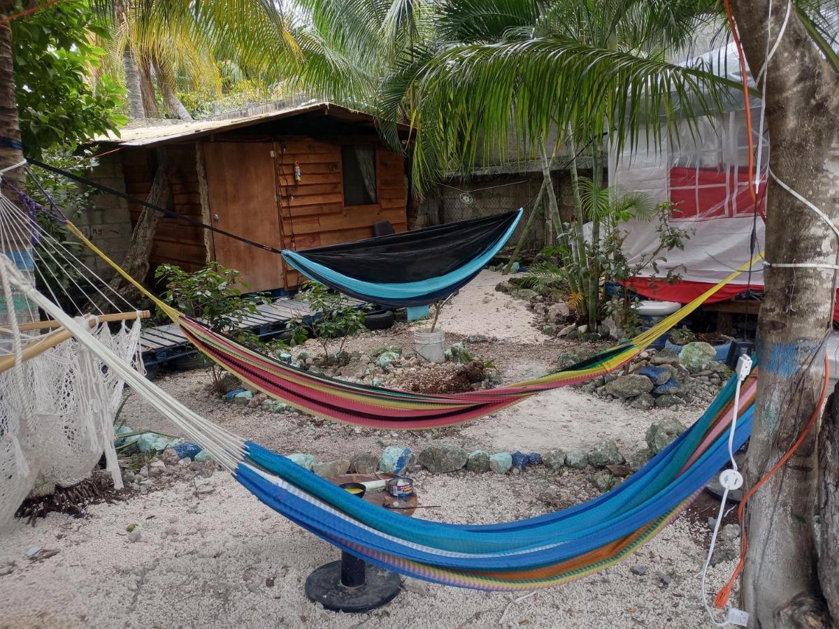 Sustainable Cabain Apartment Cozumel Exterior photo
